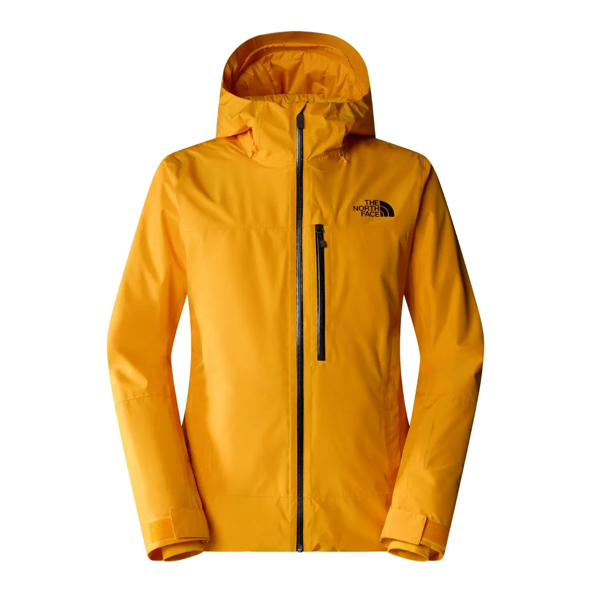 THE NORTH FACE Descendit Jkt Uomo