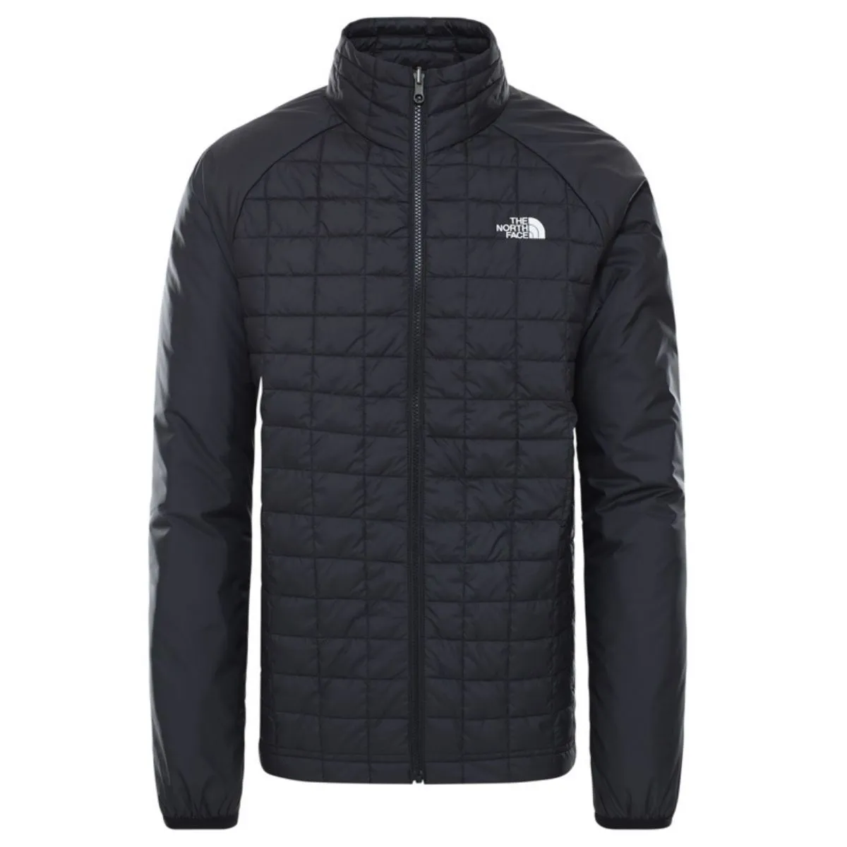 THE NORTH FACE Thermoball Eco Triclimate Jkt Uomo